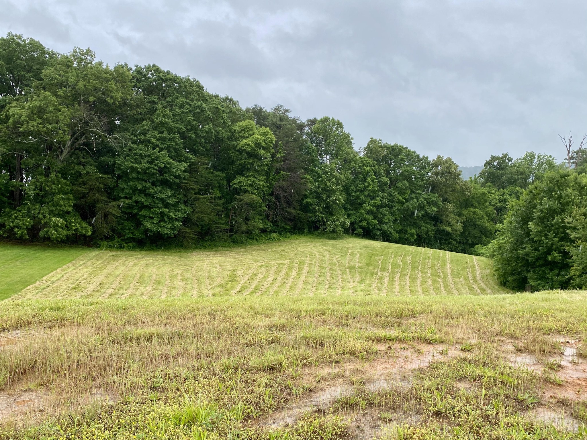0 Robert Ridge Road Sevierville, TN 37862 - Photo 1 of 10 a view of an outdoor space