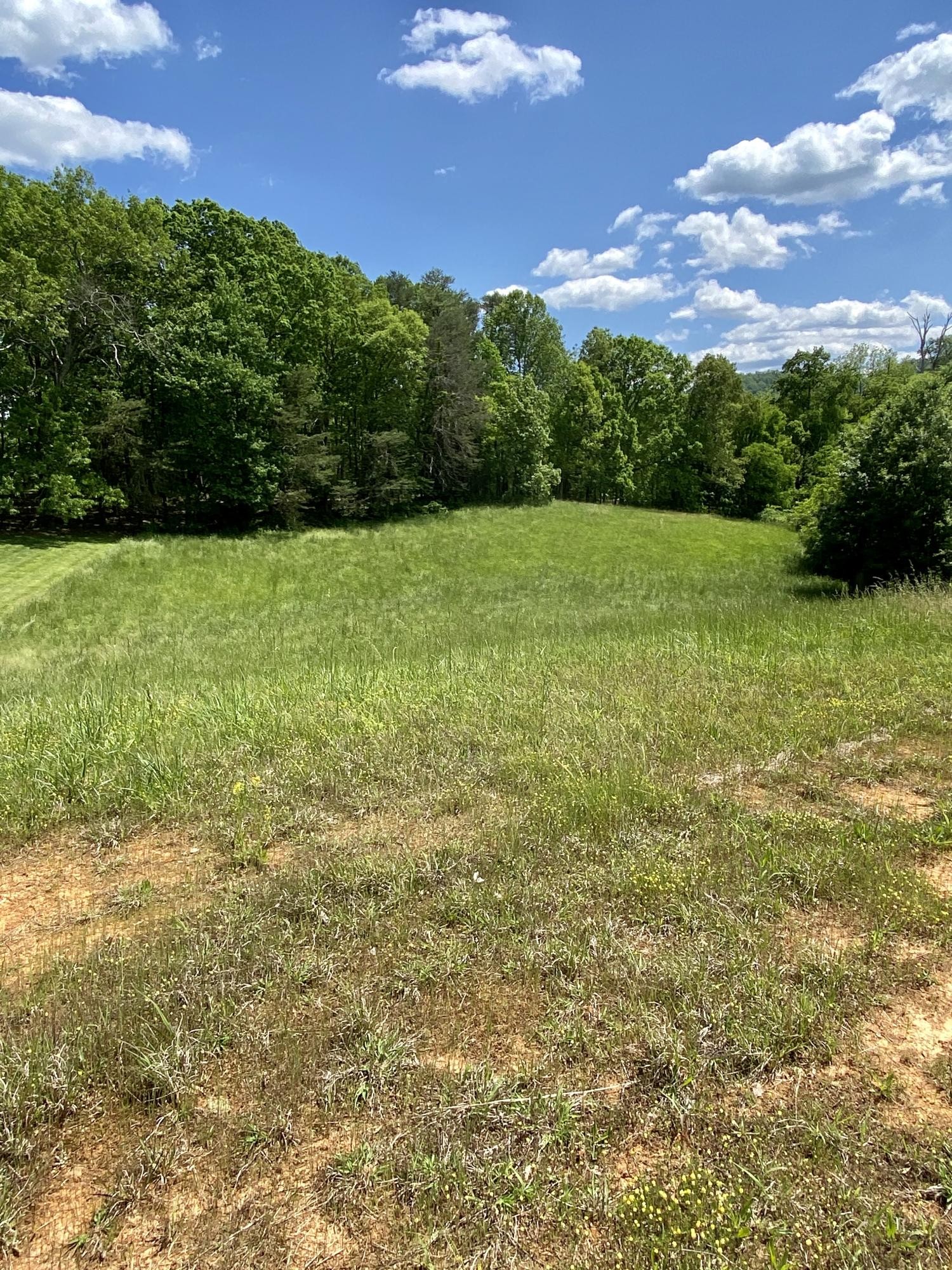 0 Robert Ridge Road Sevierville, TN 37862 - Photo 6 of 10 a view of a garden with an outdoor space