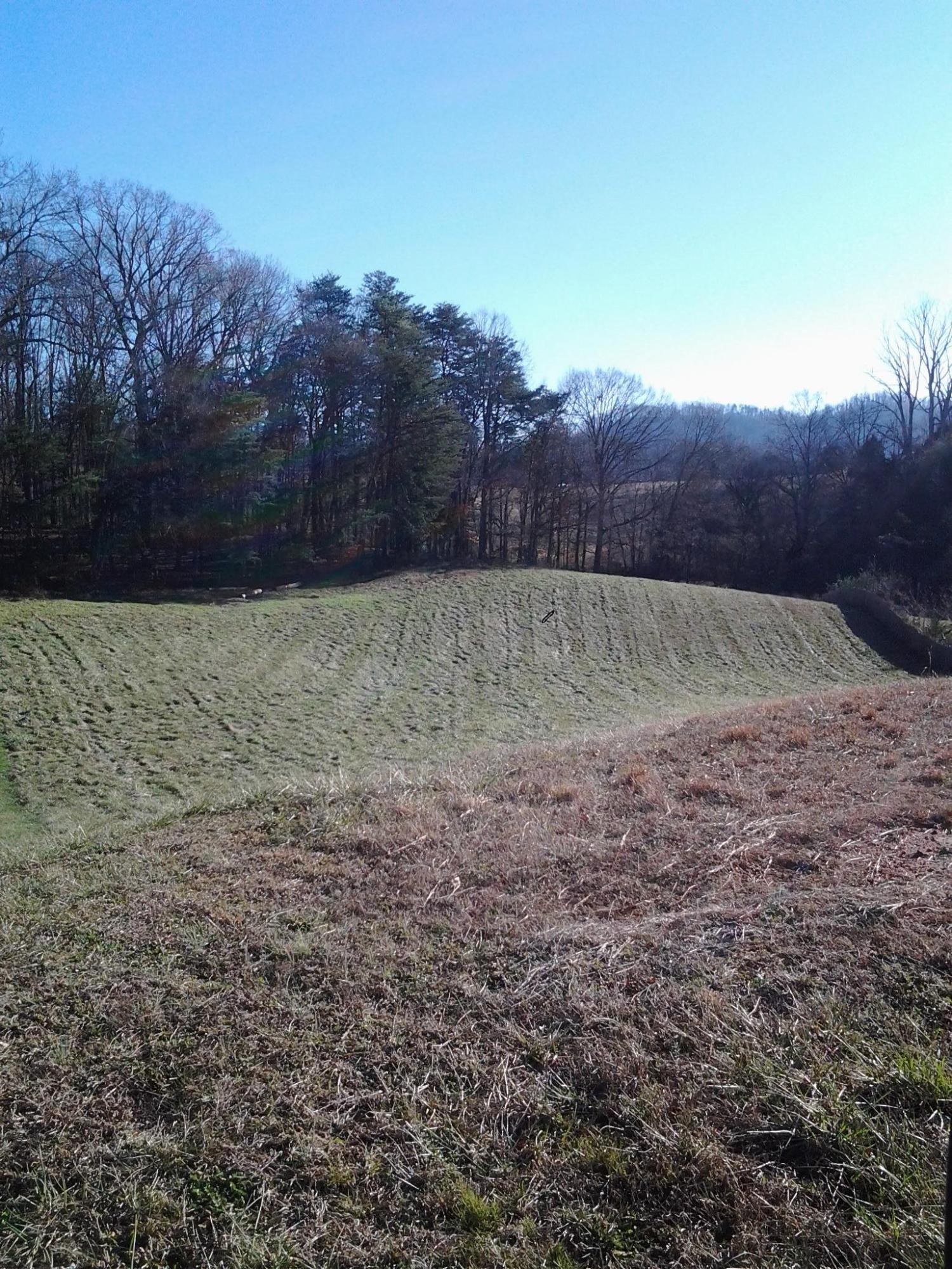0 Robert Ridge Road Sevierville, TN 37862 - Photo 9 of 10 a view of backyard with wooden fence
