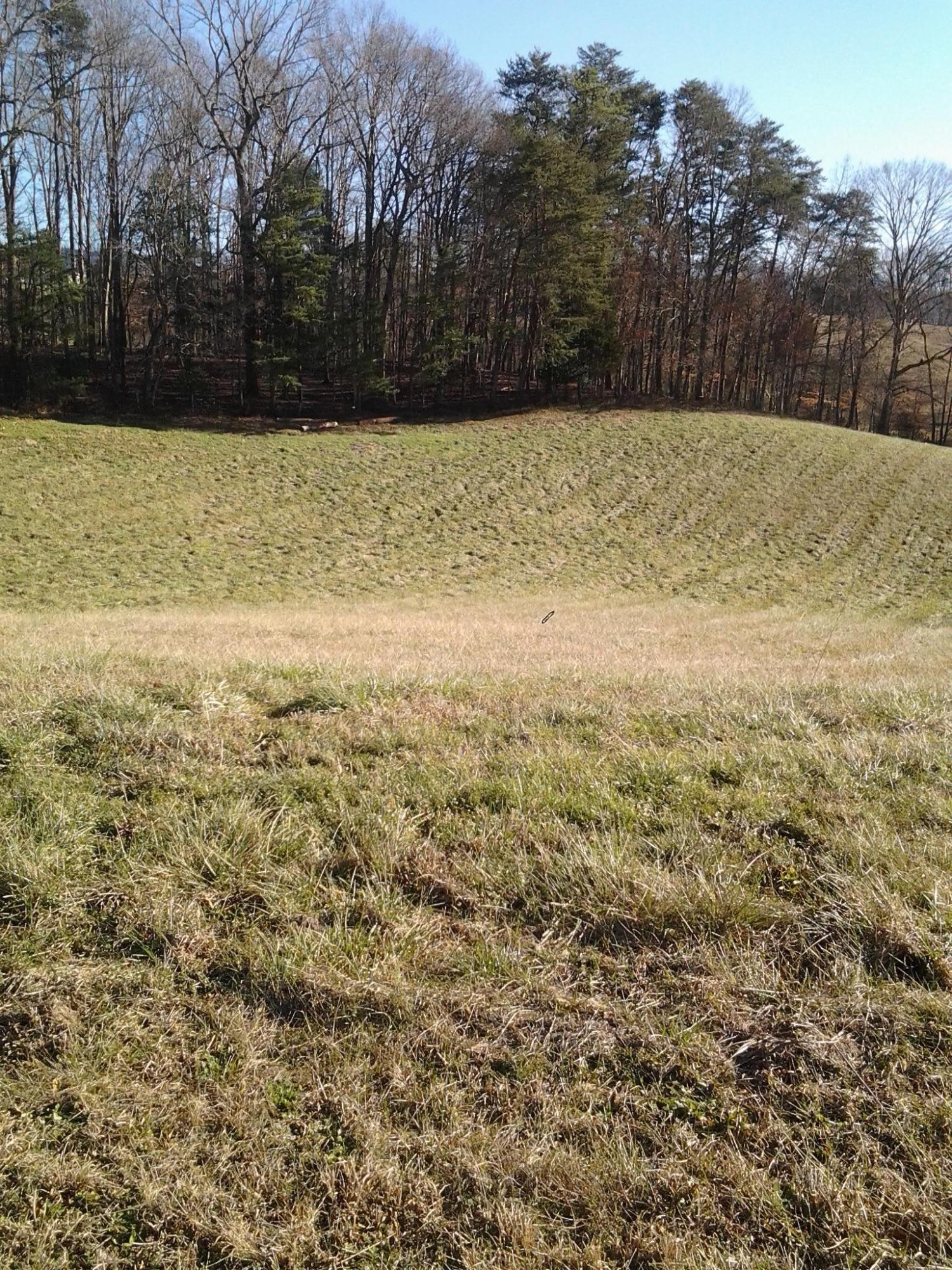 0 Robert Ridge Road Sevierville, TN 37862 - Photo 10 of 10 a view of a yard