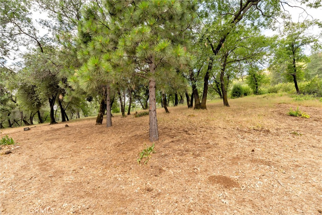 13411 Bean Flat Road Chico, CA 95928 - Photo 64 of 74 Gallery Image 64