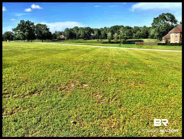 0 Deer Ridge Drive Wilmer, AL 36587 - Photo 11 of 17