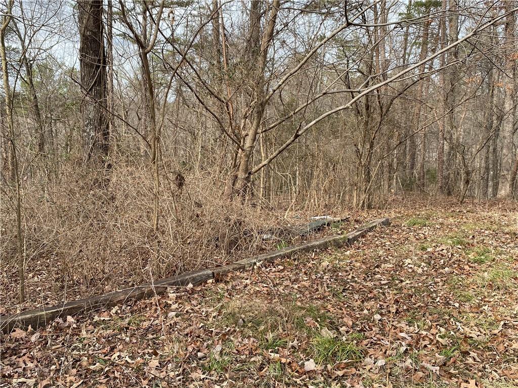 938 Slate Mine Road Southeast Fairmount, GA 30139 - Photo 1 of 1 Gallery Image 1