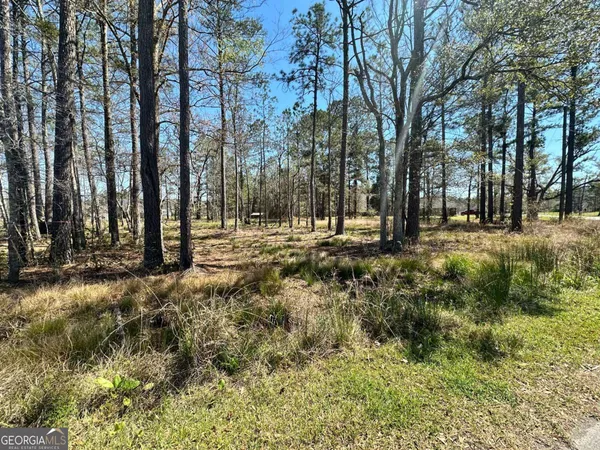 a view of a house with a yard covered with trees