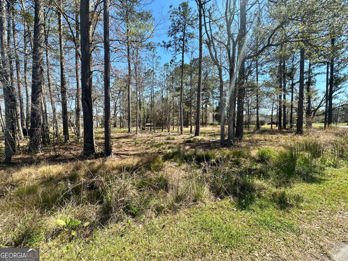 102 Trail S Road Midway, GA 31320 - Photo 2 of 3