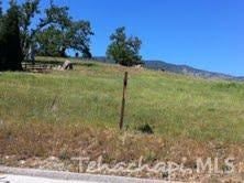 0 Rolling Oak Tehachapi, CA 93561 - Photo 1 of 4 Gallery Image 1