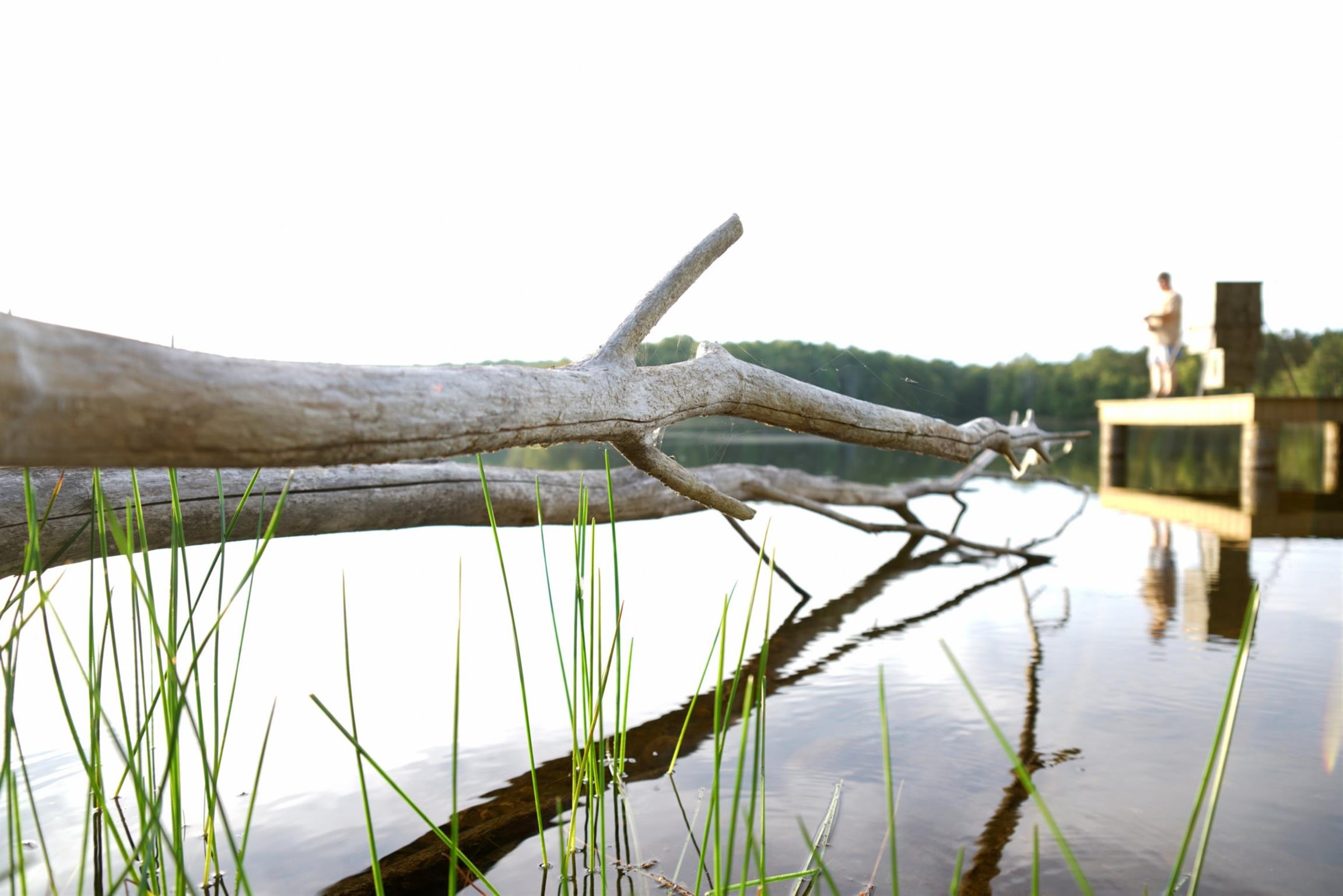 0 Long Branch Road Spencer, TN 38585 - Photo 9 of 19 Gallery Image 9