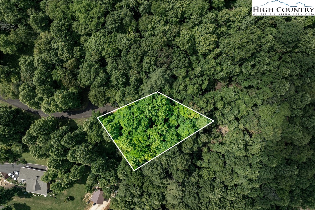 Lot 21 Lake Ridge Road Butler, TN 37640 - Photo 1 of 25