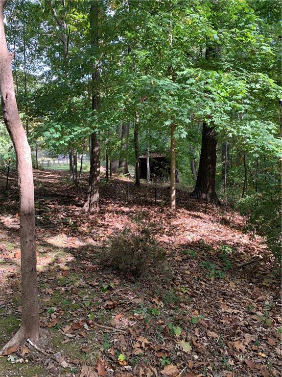 345 Johns Road Lexington, NC 27295 - Photo 23 of 27 Gallery Image 23