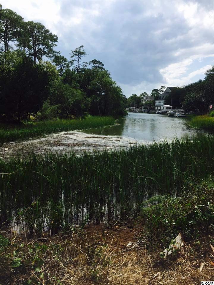 Lot 9 Cedar Point Avenue Murrells Inlet, SC 29576 - Photo 2 of 3