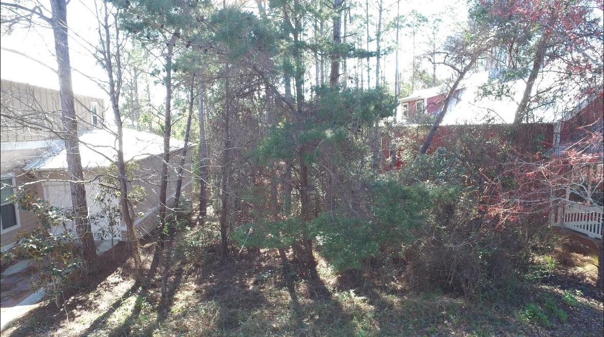 Lot 2 North Nickajack Santa Rosa Beach Santa Rosa Beach, FL 32459 - Photo 20 of 20 10