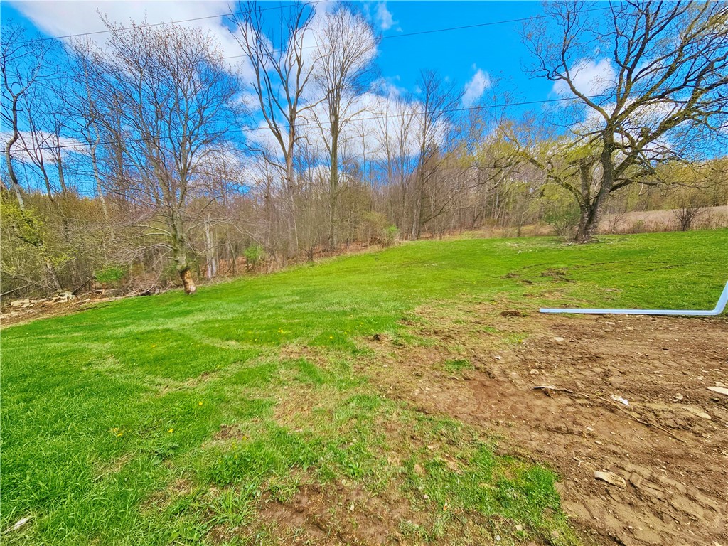 5058 Barrett Road Cameron, NY 14819 - Photo 40 of 47 house 1.8 AC YARD