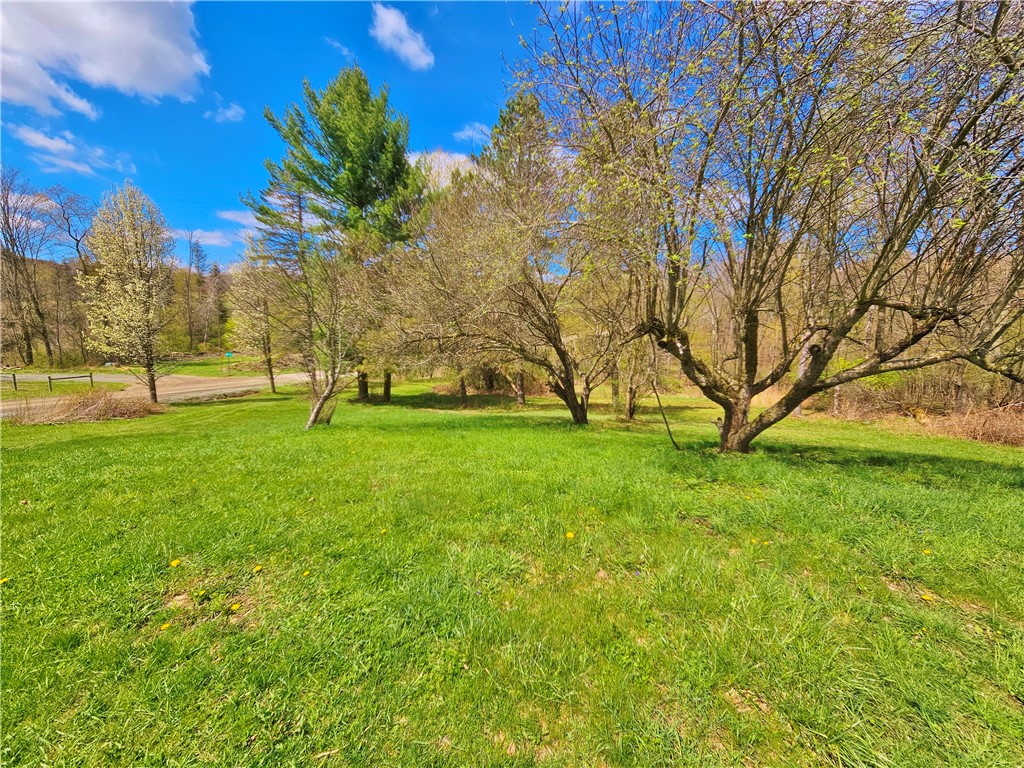 5058 Barrett Road Cameron, NY 14819 - Photo 7 of 47