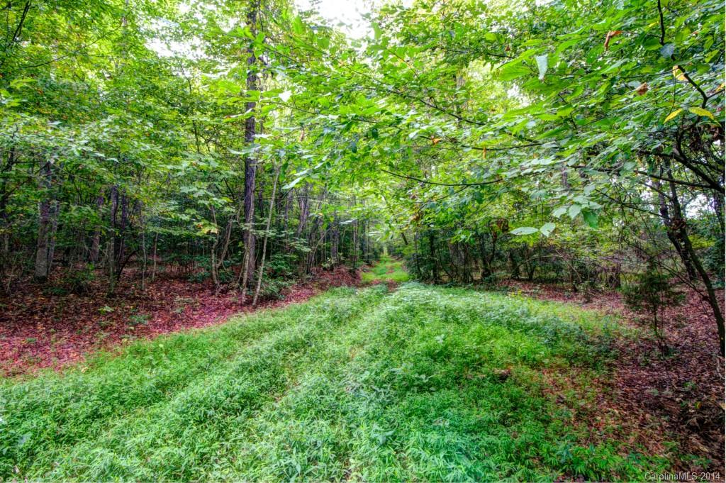651 Howards Bridge Road Union Grove, NC 28689 - Photo 18 of 21 Gallery Image 18
