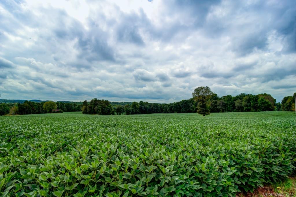 651 Howards Bridge Road Union Grove, NC 28689 - Photo 20 of 21 Gallery Image 20