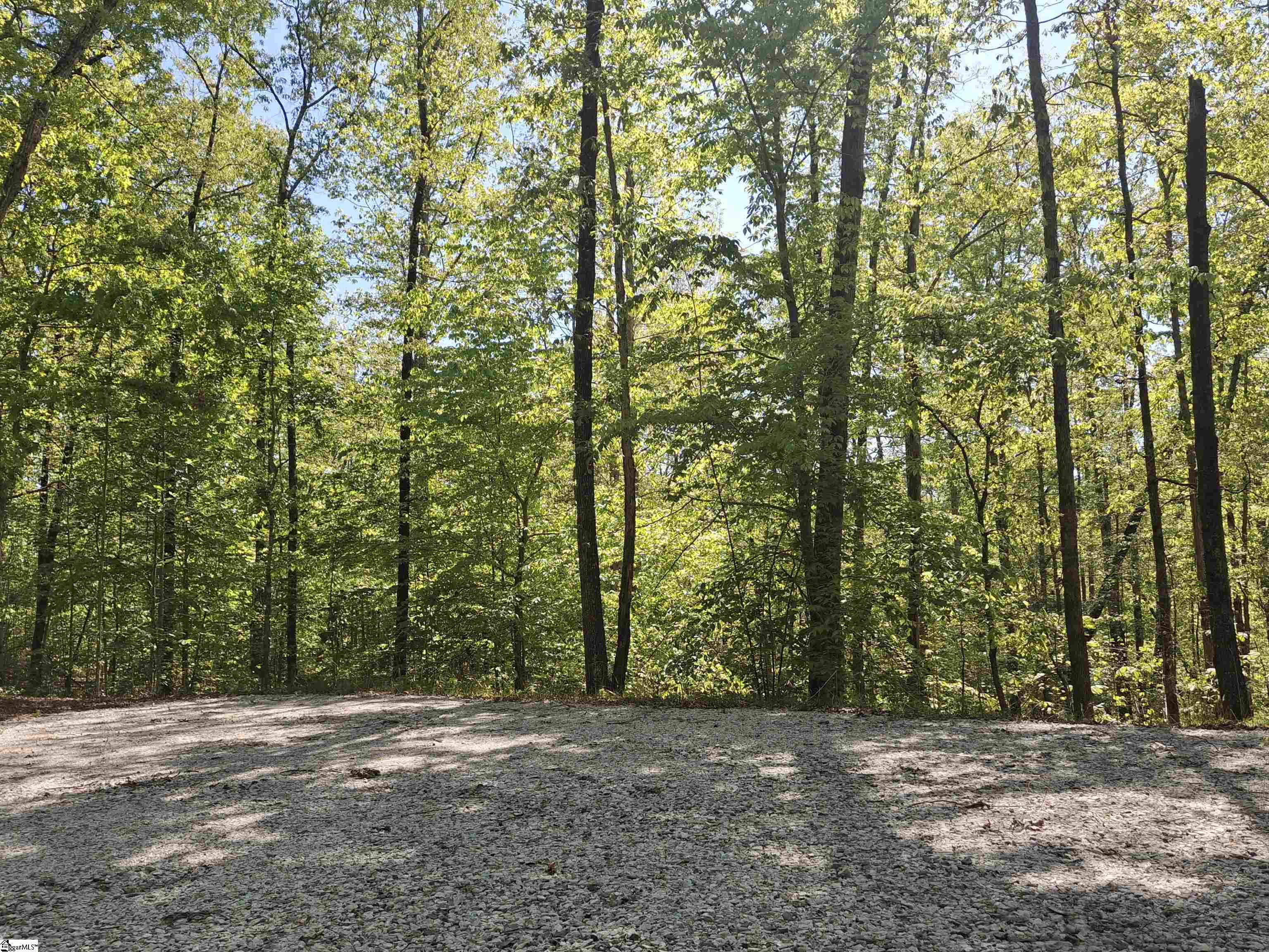 523 Flat Shoals Road Walhalla, SC 29691 - Photo 6 of 13