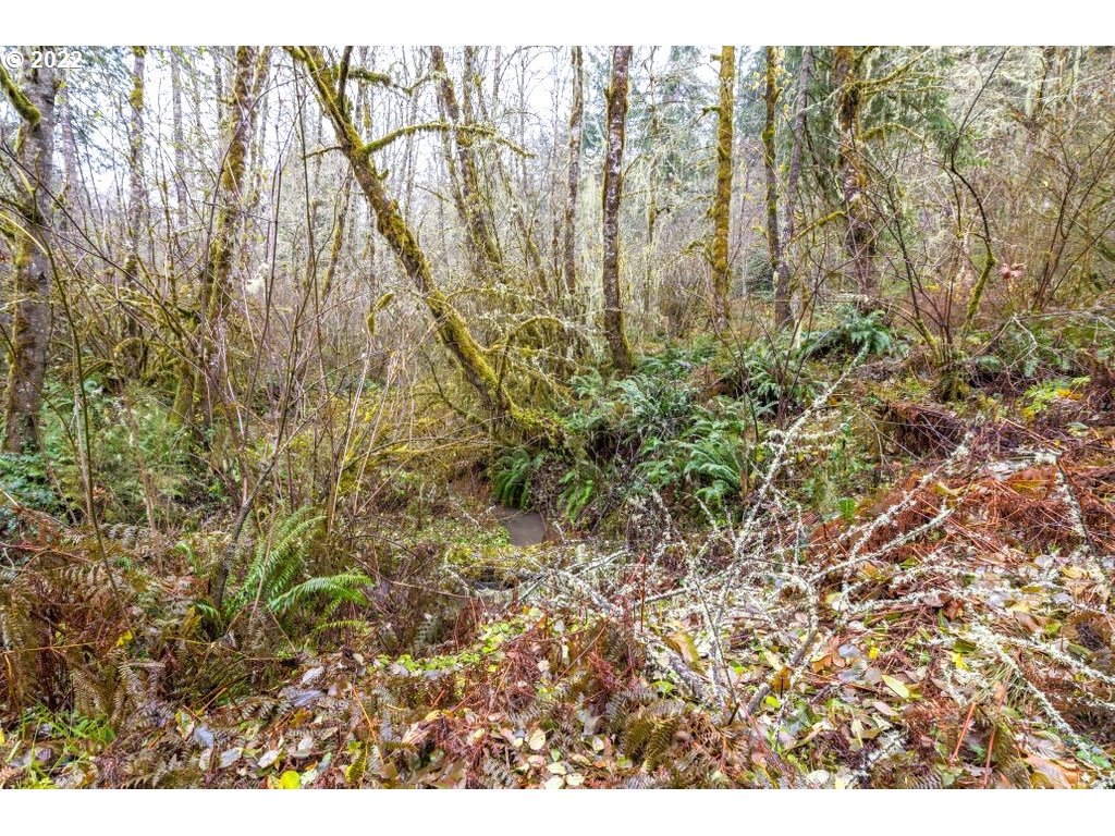 23161 South Schieffer Road Colton, OR 97017 - Photo 30 of 30 Backyard