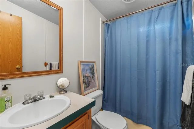 a bathroom with a sink a toilet a mirror and shower curtain