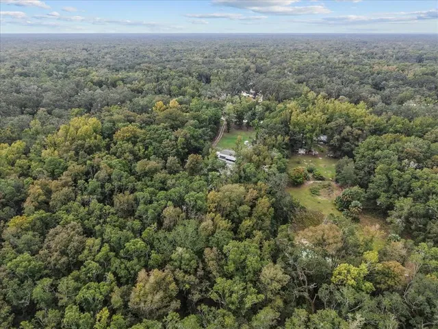 a view of a big yard with lots of green space