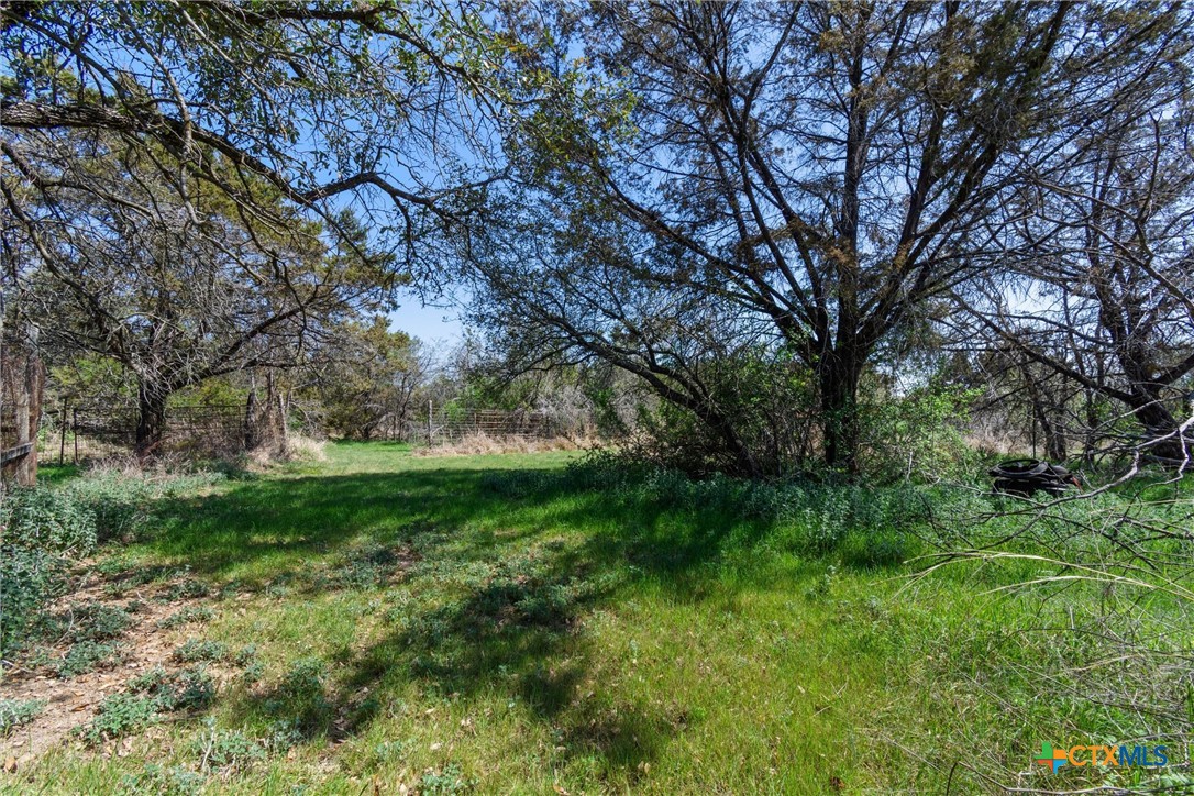 3037 Boys Ranch Road Kempner, TX 76539 - Photo 44 of 47 a view of backyard with green space