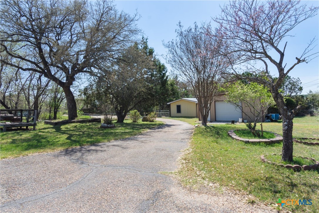 3037 Boys Ranch Road Kempner, TX 76539 - Photo 5 of 47 a backyard of a house with plants and large tree