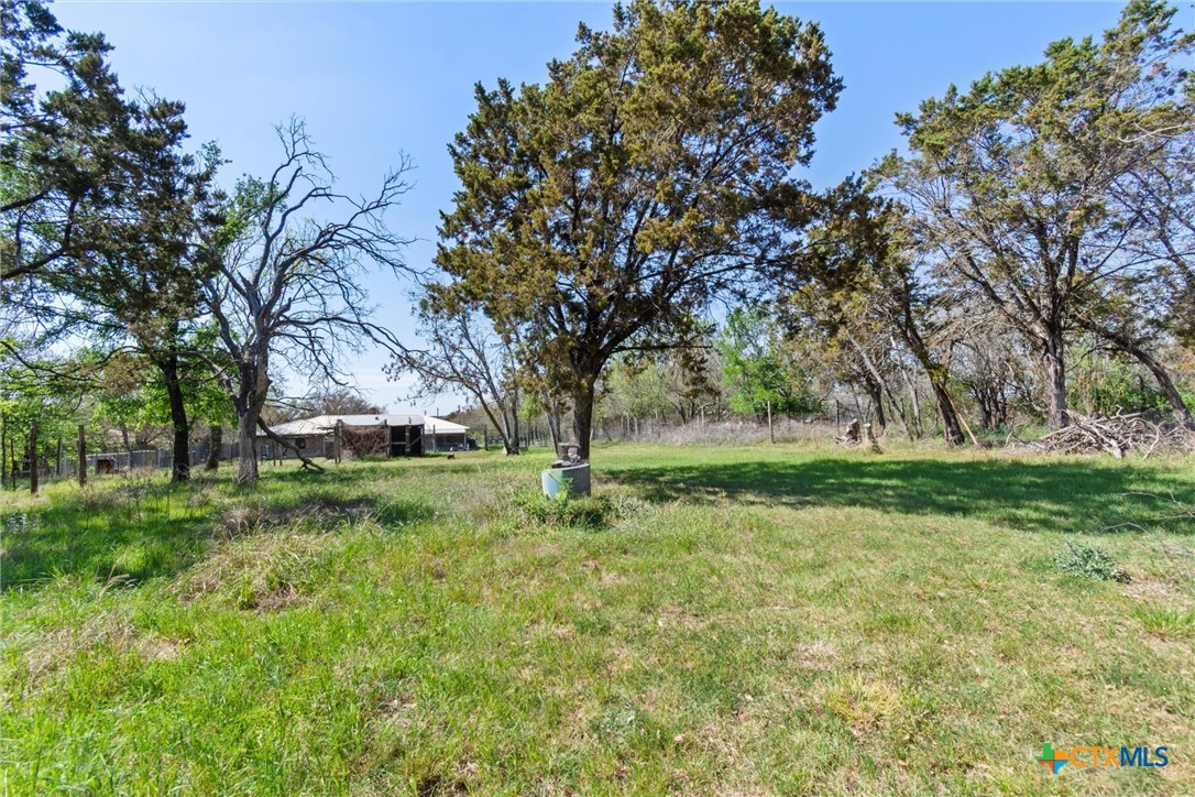 3037 Boys Ranch Road Kempner, TX 76539 - Photo 6 of 47 a view of backyard with green space