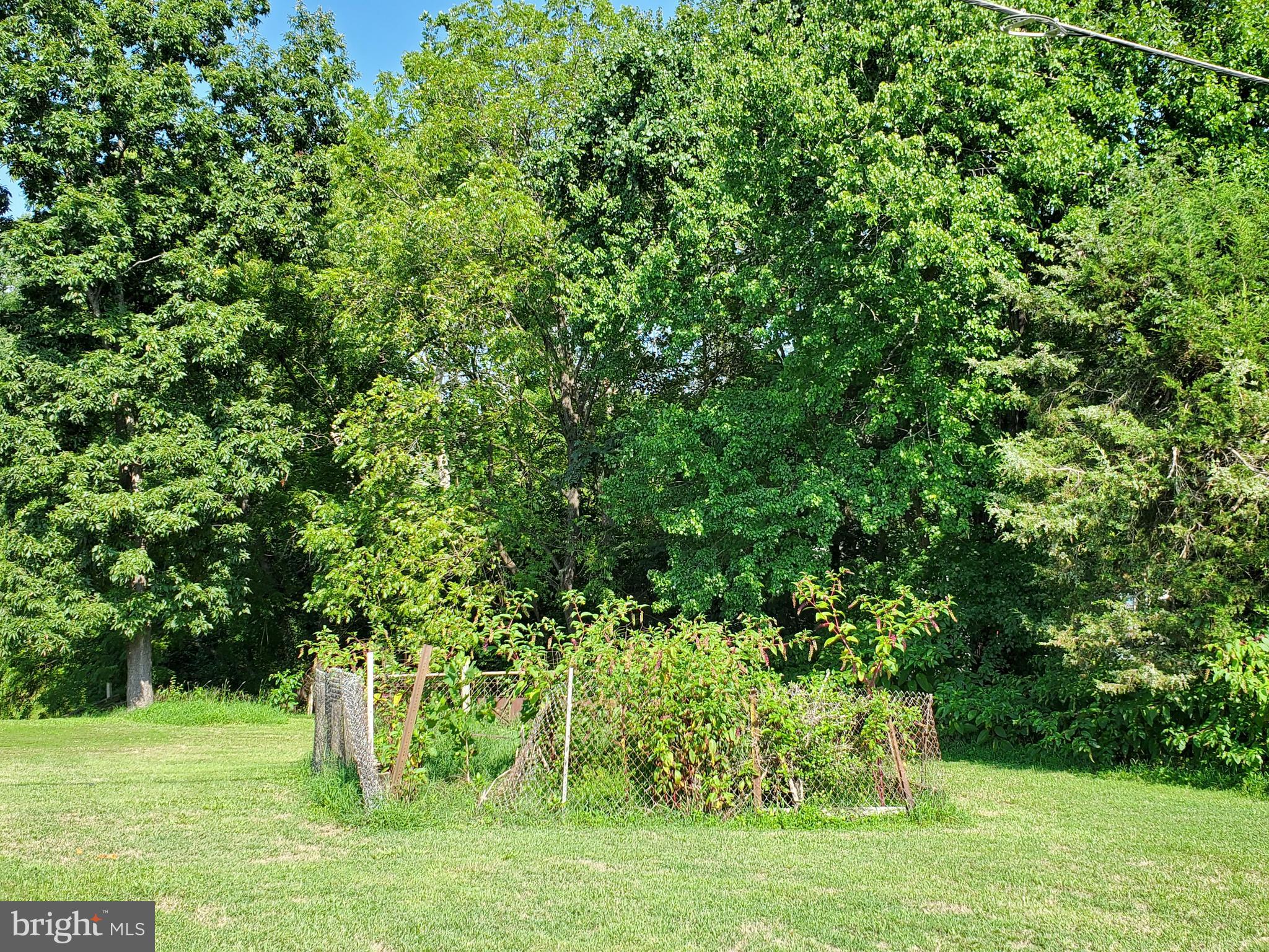 12278 Rixeyville Road Culpeper, VA 22701 - Photo 8 of 13 Fenced Garden