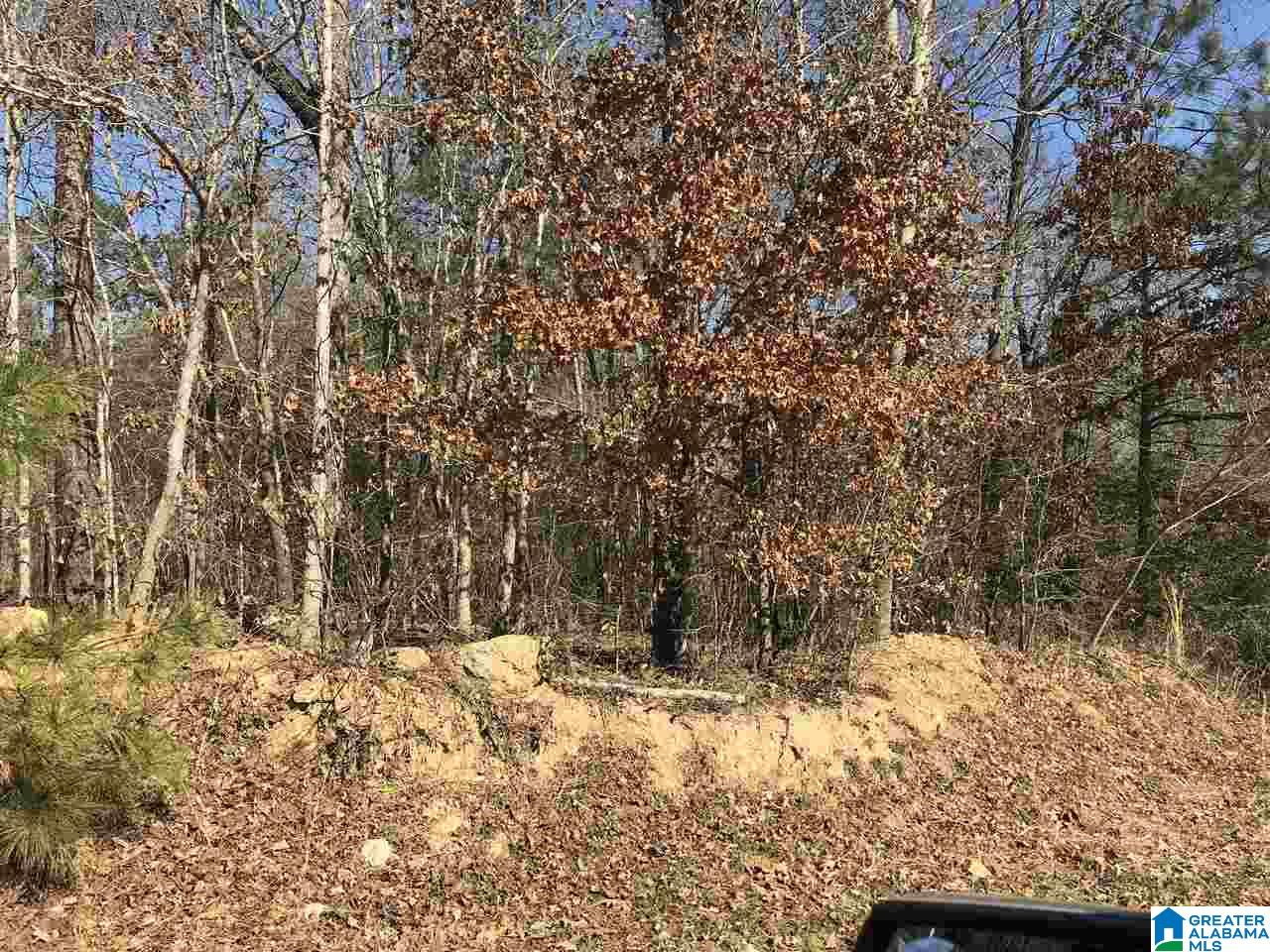 8020 Stemley Bridge Road, Unit PARCEL Talladega, AL 35160 - Photo 5 of 6