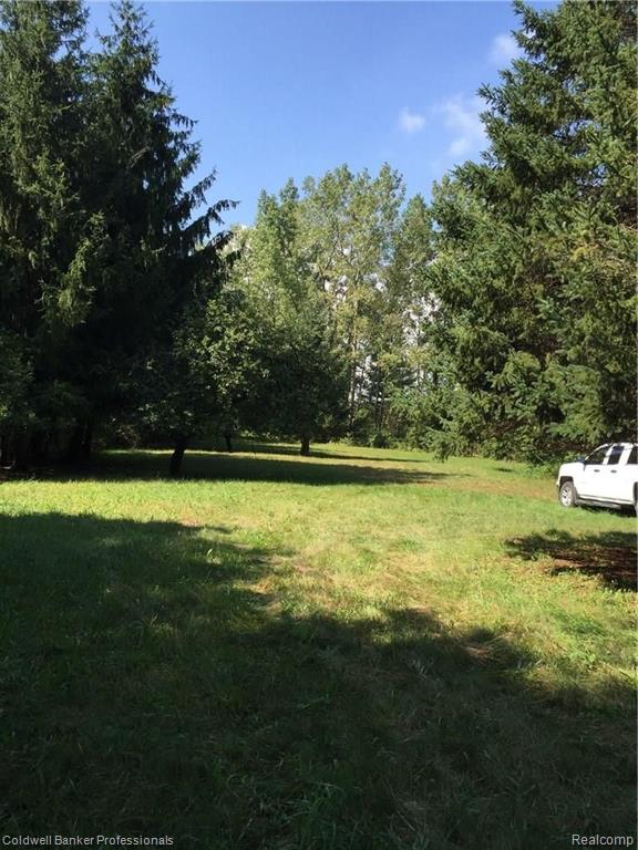 0 Chapinenglehart Road Deford, MI 48729 - Photo 5 of 15