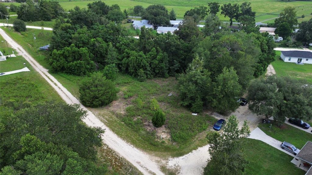 Southwest 32nd Place Ocala, FL 34481 - Photo 7 of 7 a view of a garden with plants and large trees