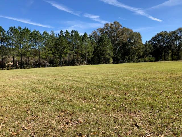 6 Windsor Oak Estates Road Natchez, MS 39120 - Photo 1 of 13 Main View