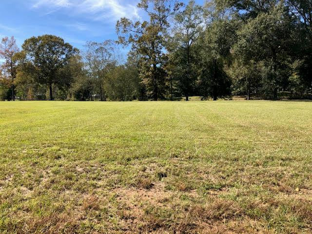6 Windsor Oak Estates Road Natchez, MS 39120 - Photo 11 of 13 Photo 12