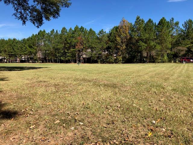 6 Windsor Oak Estates Road Natchez, MS 39120 - Photo 2 of 13 Photo 2
