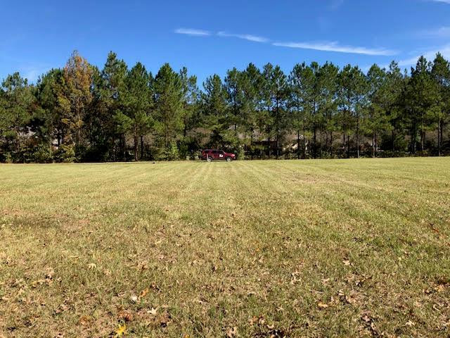 6 Windsor Oak Estates Road Natchez, MS 39120 - Photo 3 of 13 Photo 4