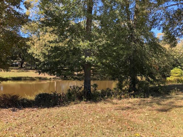 6 Windsor Oak Estates Road Natchez, MS 39120 - Photo 6 of 13 Photo 7