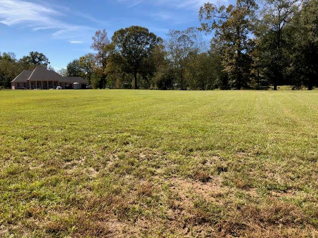 6 Windsor Oak Estates Road Natchez, MS 39120 - Photo 8 of 13 Photo 9