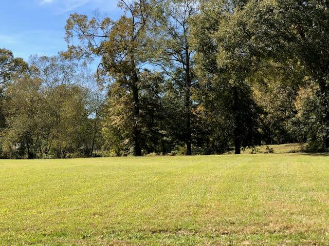 6 Windsor Oak Estates Road Natchez, MS 39120 - Photo 10 of 13 Photo 11