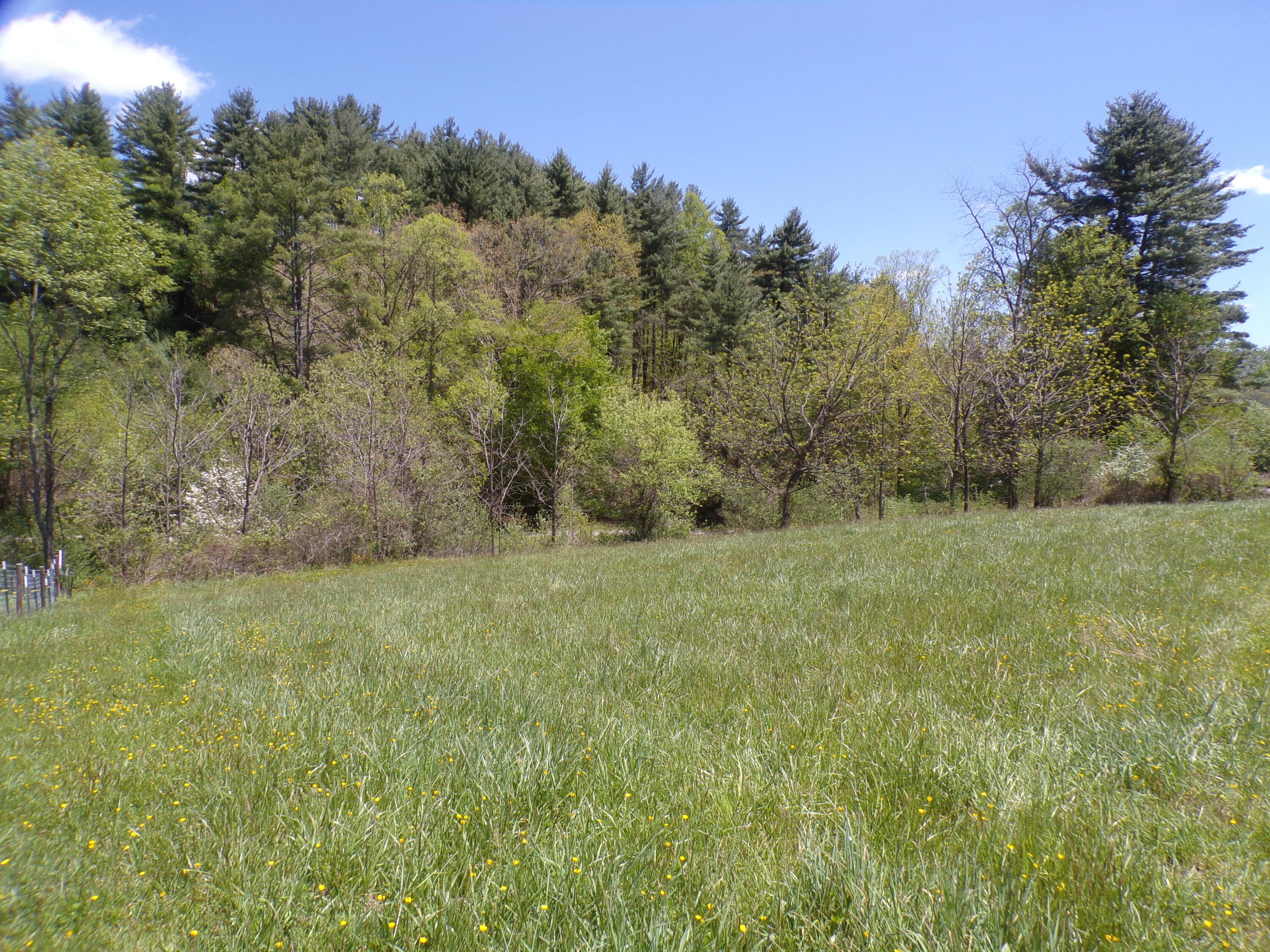 Tbd D Reece Road Mountain City, TN 37683 - Photo 1 of 44 103_7323