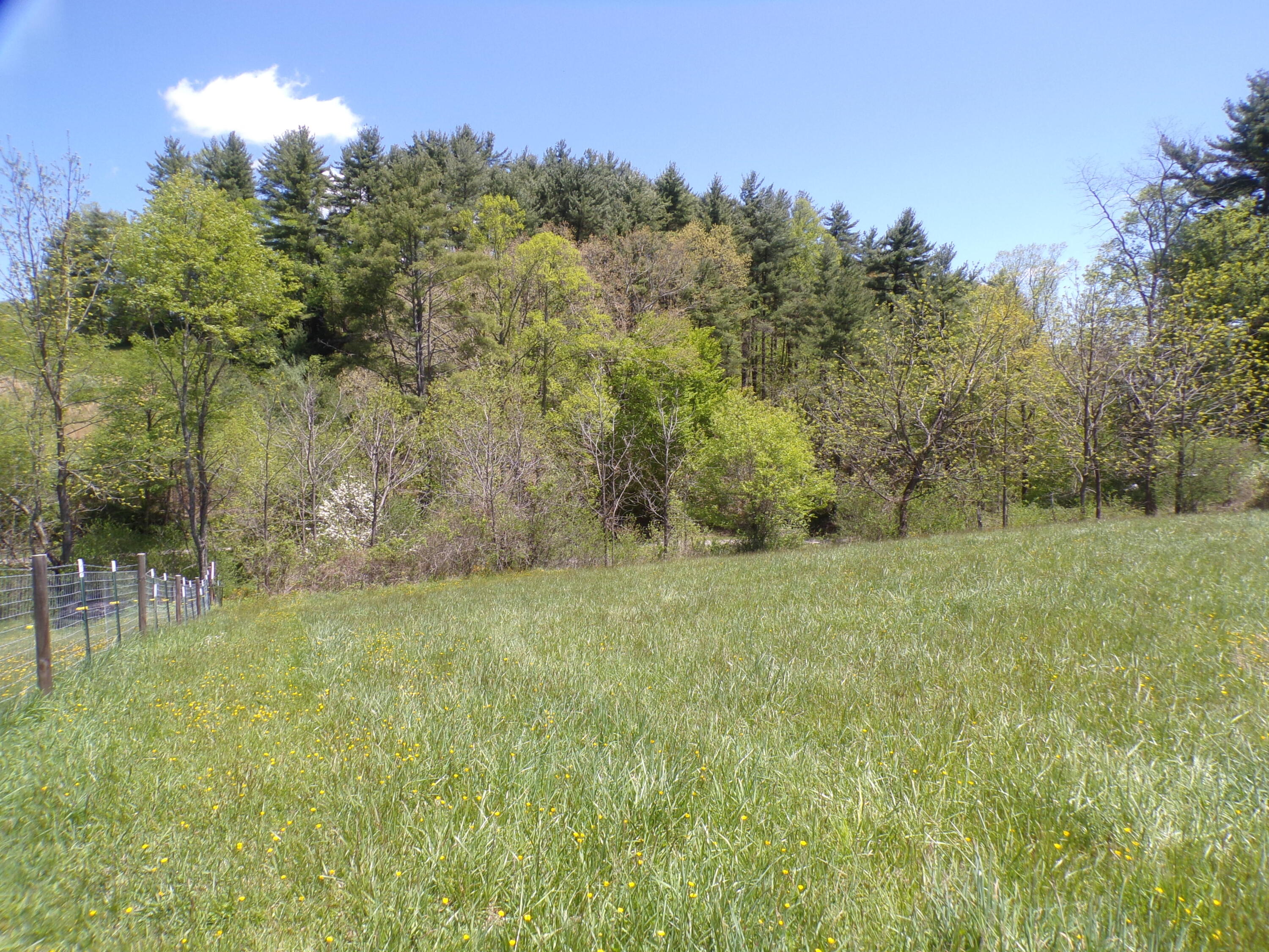 Tbd D Reece Road Mountain City, TN 37683 - Photo 14 of 44 103_7326