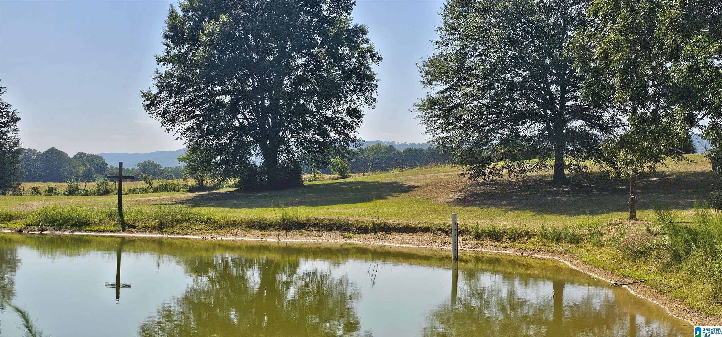 1218 Beason Cove Road Steele, AL 35987 - Photo 1 of 20