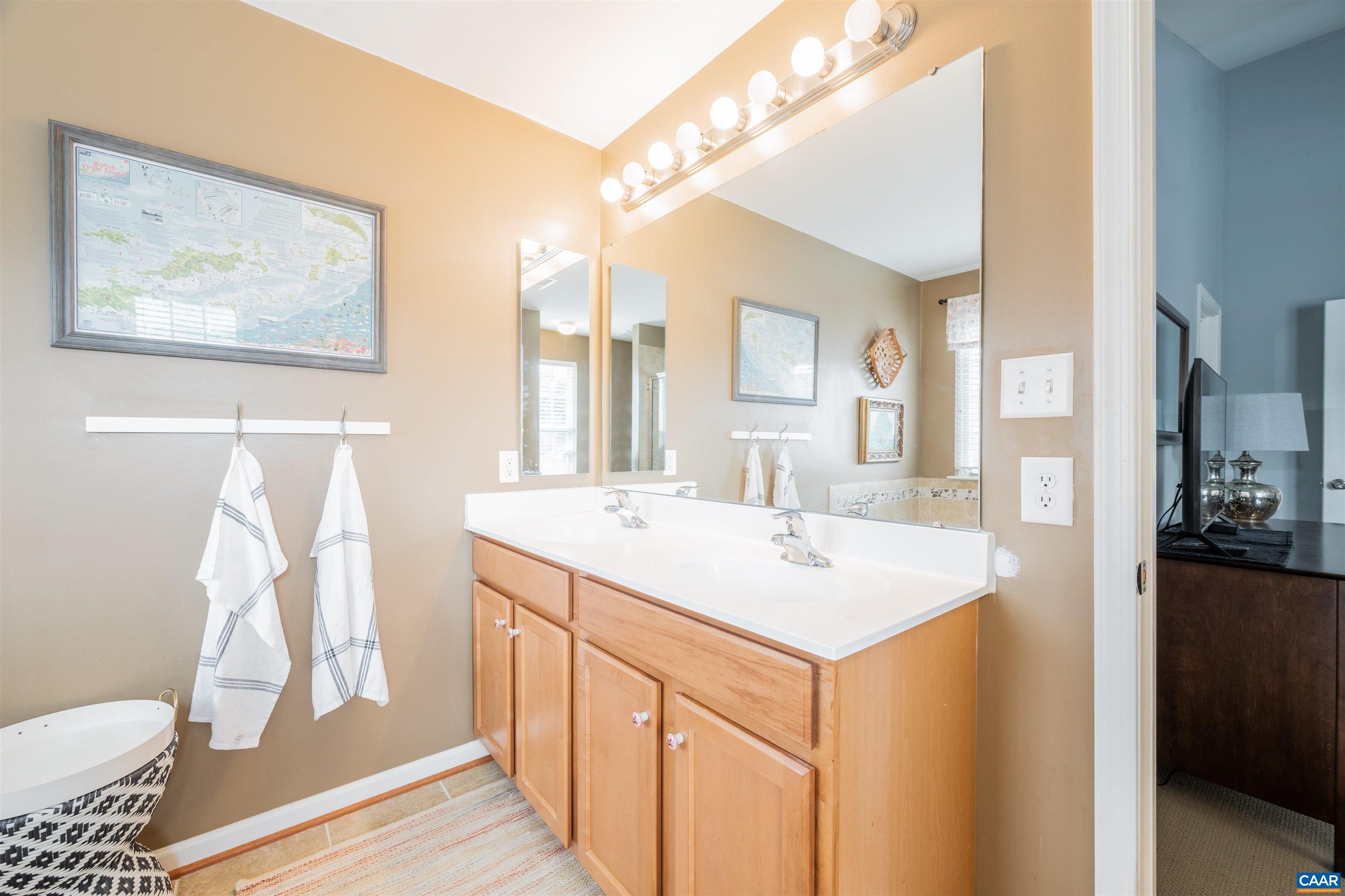 719 Rainier Road Charlottesville, VA 22903 - Photo 32 of 41 a bathroom with a sink and a mirror