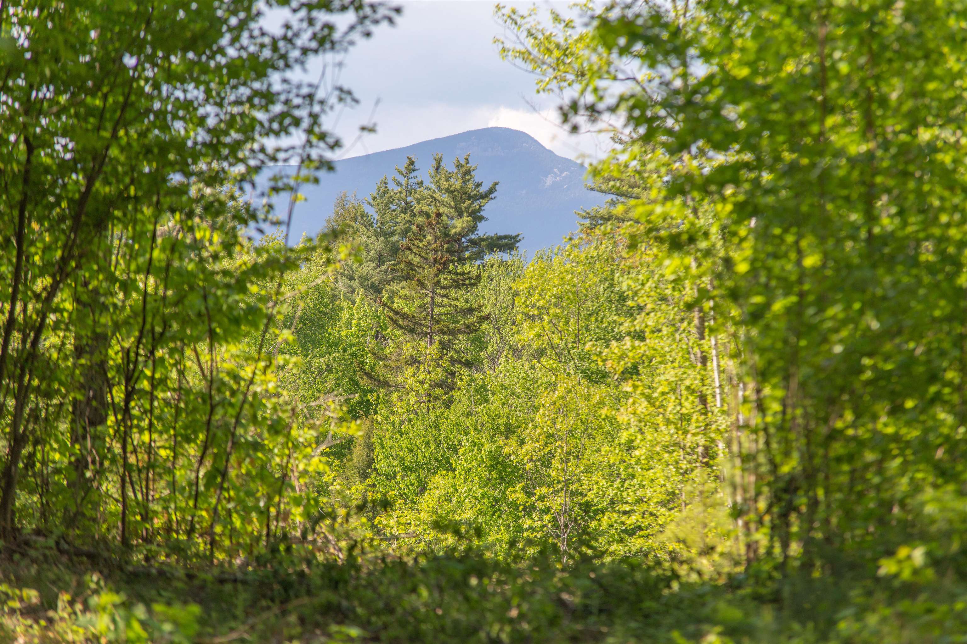 0 Taterboro Road Sandwich, NH 03227 - Photo 9 of 27