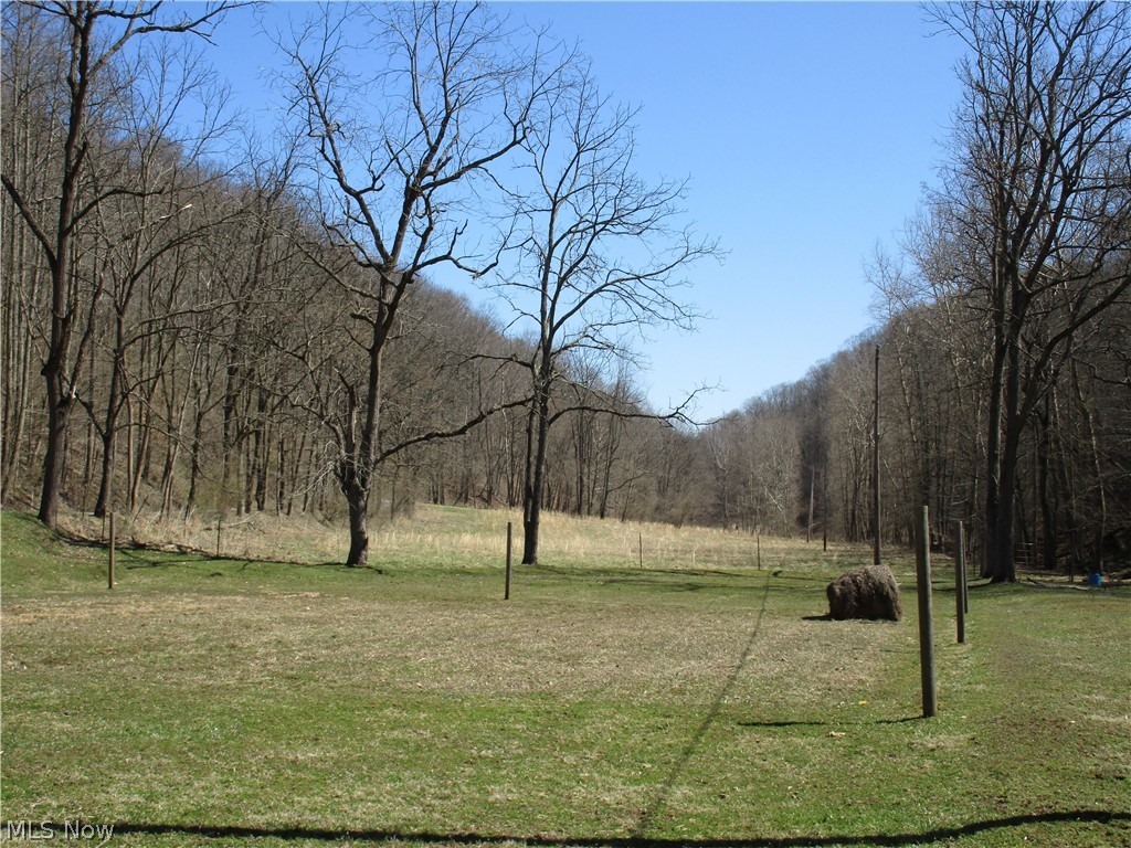 638 Short Run Road Pennsboro, WV 26415 - Photo 26 of 35 Gallery Image 26