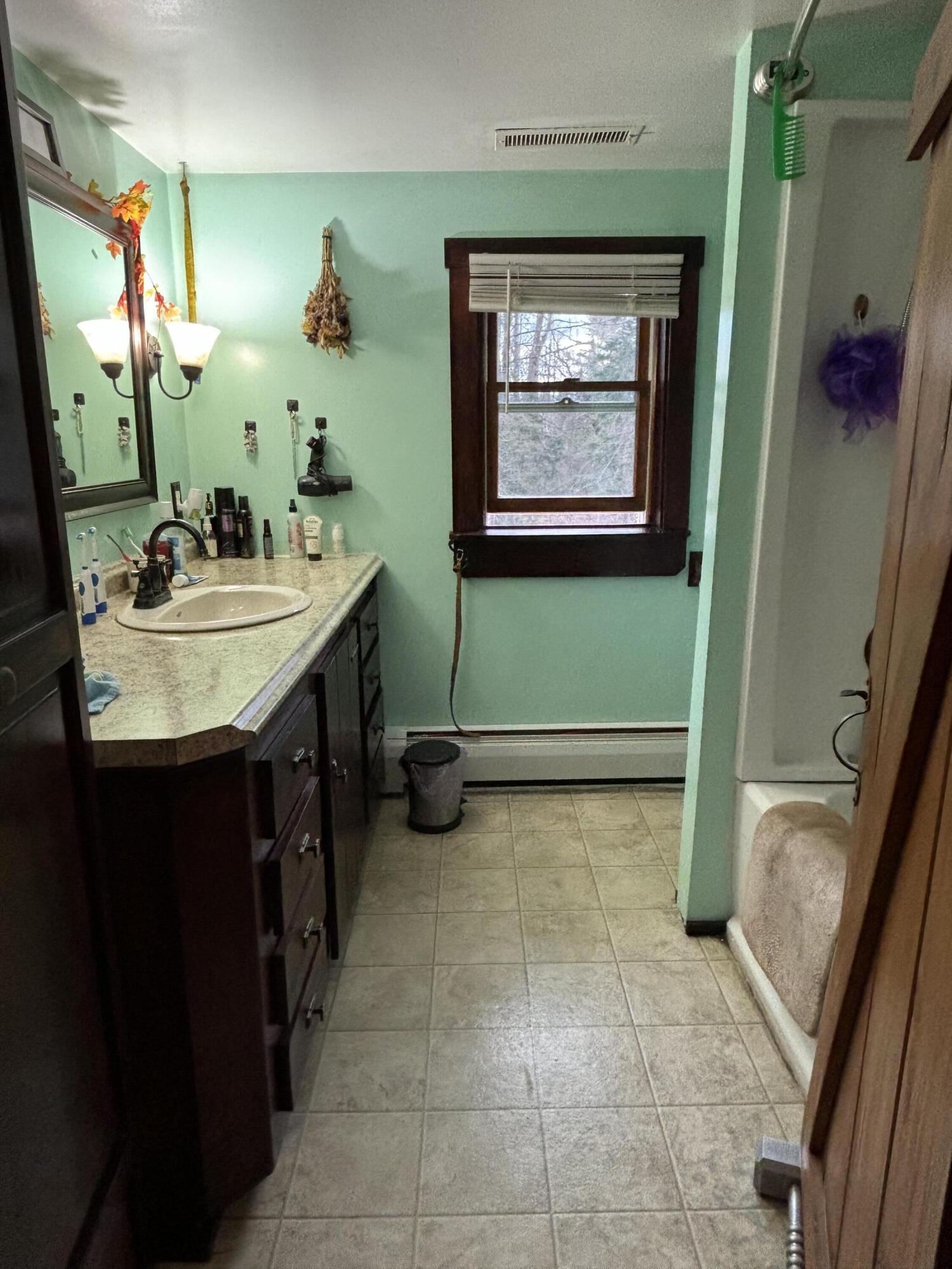 375 County Road Milford, ME 04461 - Photo 16 of 21 IMG_3003