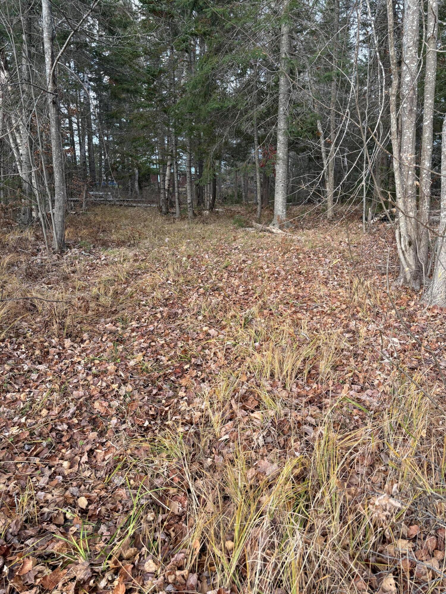 375 County Road Milford, ME 04461 - Photo 5 of 21 IMG_3022