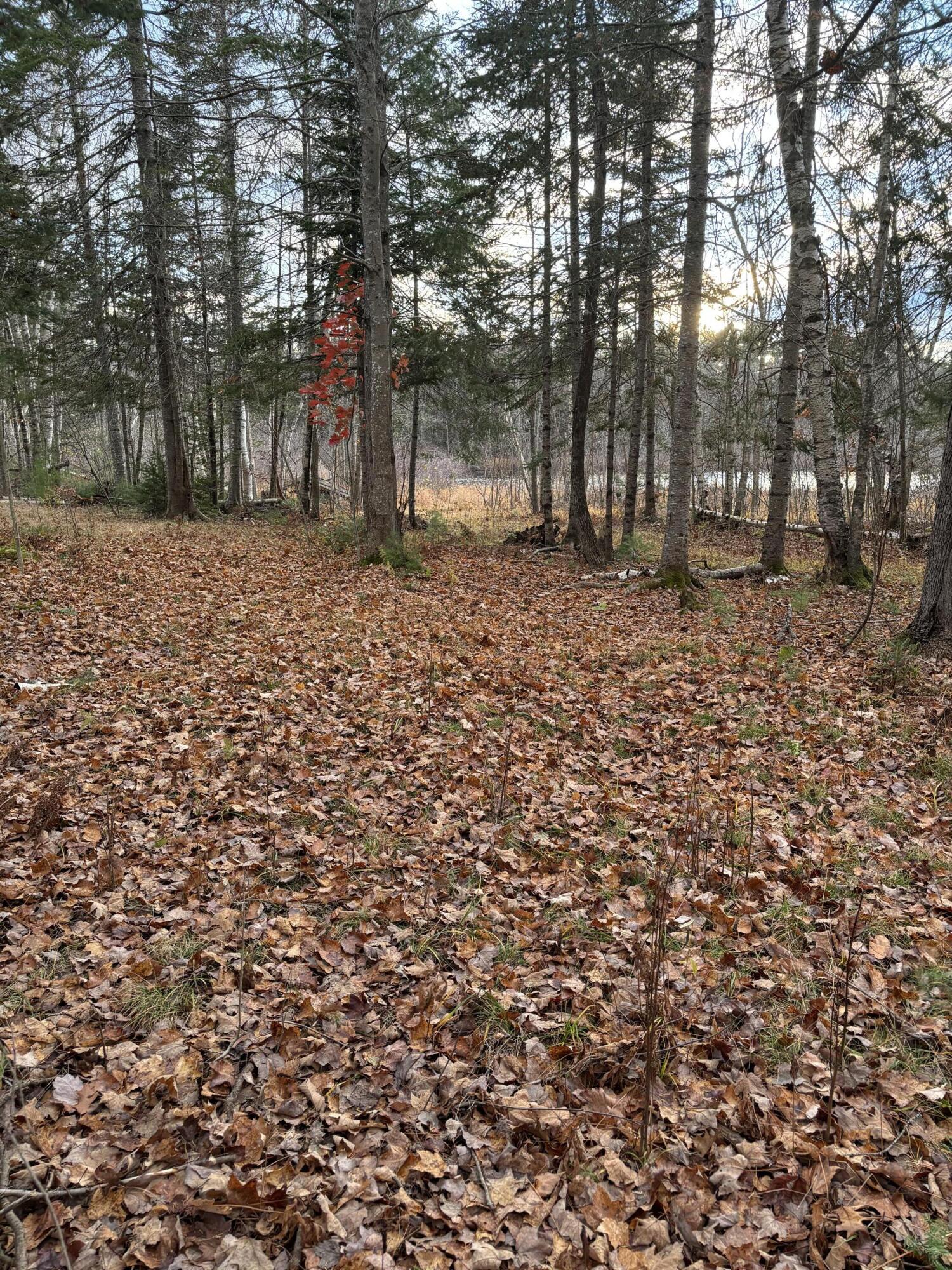 375 County Road Milford, ME 04461 - Photo 6 of 21 IMG_3018