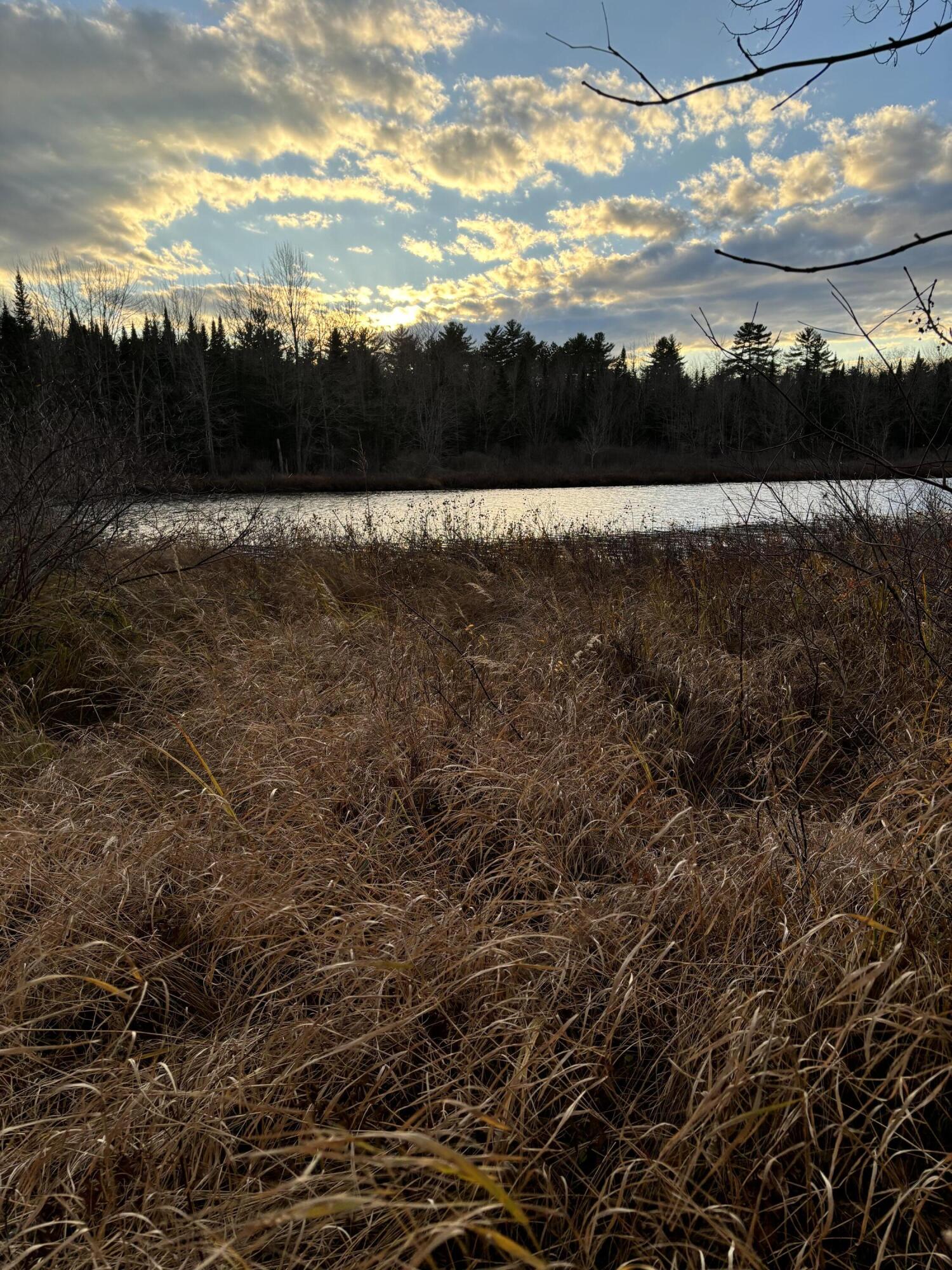 375 County Road Milford, ME 04461 - Photo 7 of 21 IMG_3021