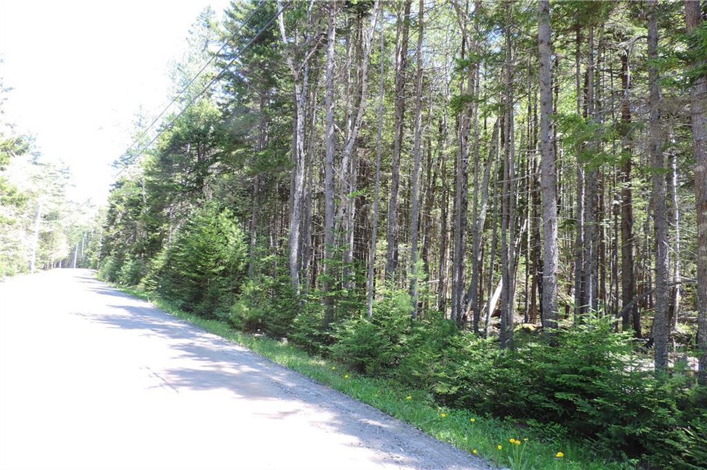 Lot#00 Doughty Point Road Harpswell, ME 04079 - Photo 17 of 21 Photo