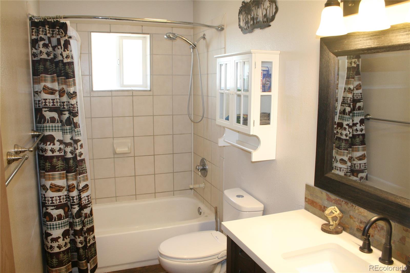 238 Taylor Street Bailey, CO 80421 - Photo 17 of 23 a bathroom with a sink a toilet and shower