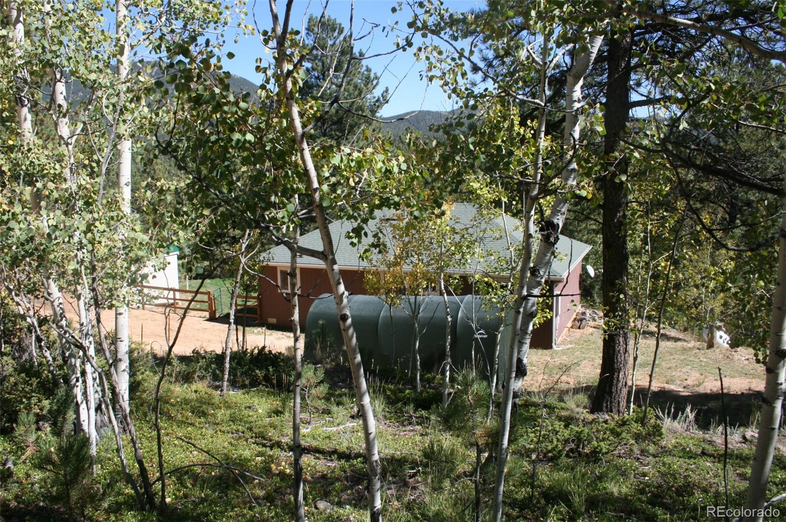 238 Taylor Street Bailey, CO 80421 - Photo 8 of 23 a view of yard
